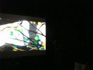 180807-8.jpg