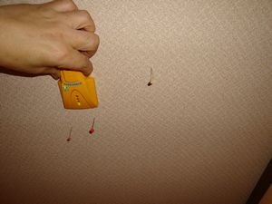 141025-15.jpg