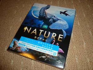141109-1.jpg