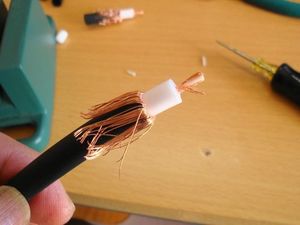 170129-5.jpg
