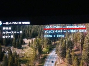 190815-4.jpg